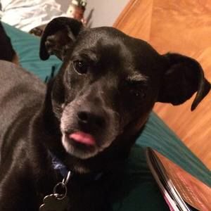 Meet your Posher, Renee